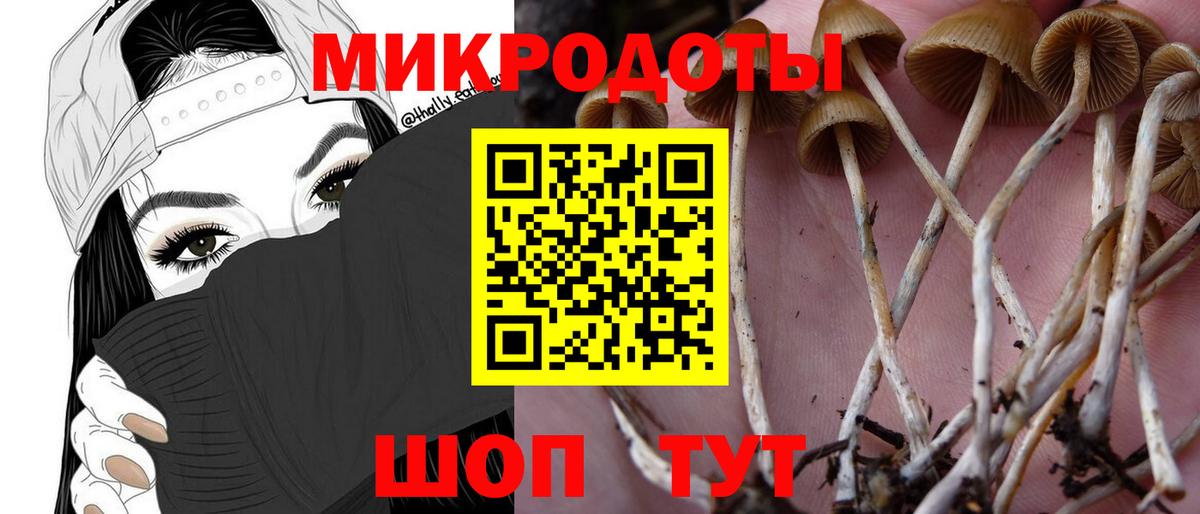 Галлюциногенные грибы GOLDEN TEACHER  Вход с VPN  Каменск-Шахтинский 