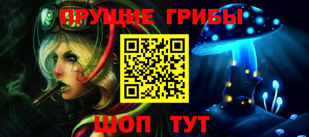 Галлюциногенные грибы Psilocybine cubensis Каменск-Шахтинский
